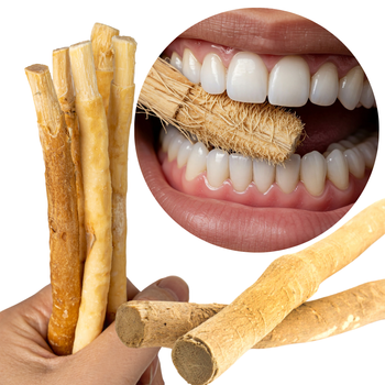 NATURALNA SZCZOTECZKA DO ZĘBÓW MISWAK PATYCZEK DO CZYSZCZENIA ZĘBÓW