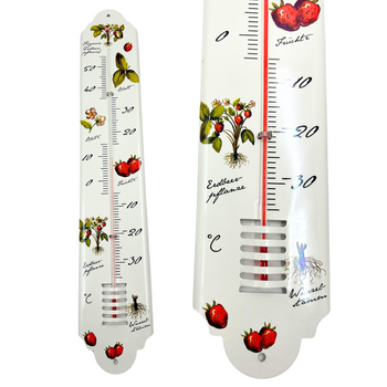 TERMOMENTR ZEWNĘTRZNY METALOWY POZIOMKI