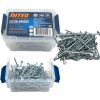 ZESTAW GWOŹDZI 100SZT NITEO 