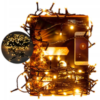 400 DIOD LED O CIEPŁYM BIAŁYM ŚWIETLE