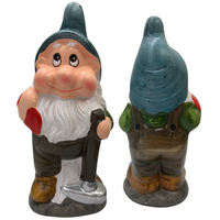 SKRZAT OGRODOWY Z NIEBIESKĄ CZAPKĄ 